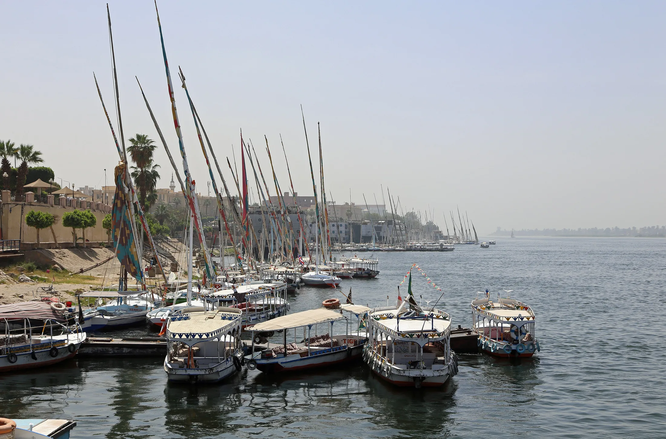 Luxor Nile R05 in or near Luxor, Egypt