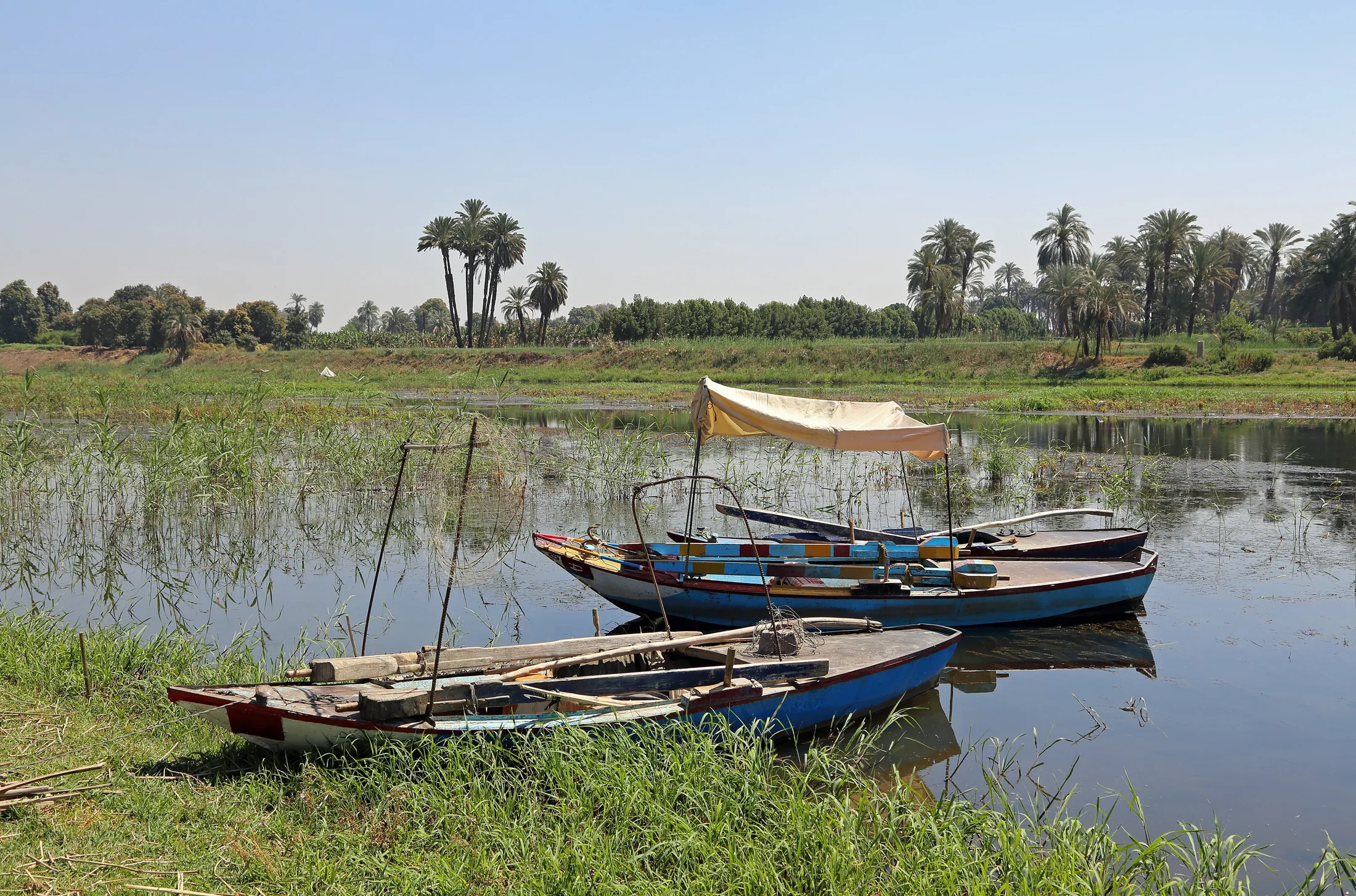 Nile Rowing Boats R01 in or near Luxor, Egypt