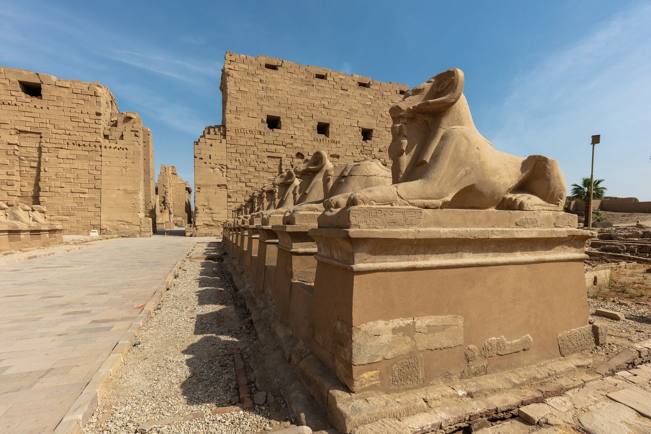 Templo de Karnak, Luxor, Egipto, 2022-04-03, DD 139 in or near Luxor, Egypt